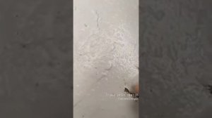 Проверка адгезии по мокрому бетону-2019г.