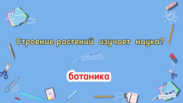 2. РУБРИКА — 20 ВОПРОСОВ / 5 класс / учимся на отлично / тренировка памяти / #зарядкадляума #школа