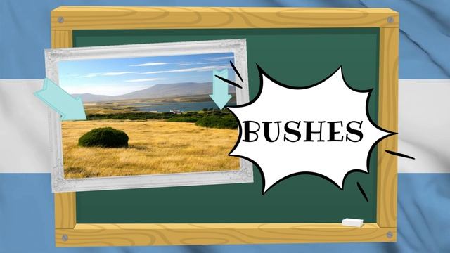 MALVINAS ISLANDS-ISLAS MALVINAS EN LA CLASE DE INGLES-WEATHER-ANIMALS-GEOGRAPHY- смотреть онлайн