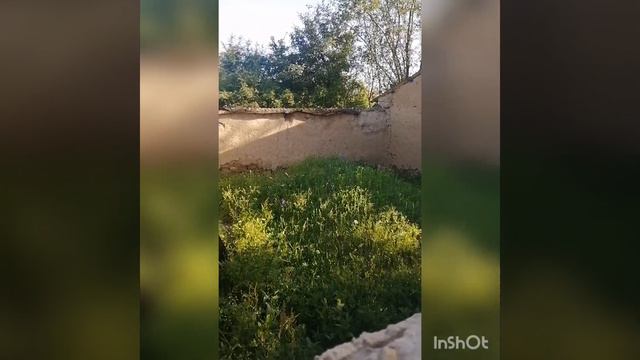 ҚҰСШЫ АТА ӘУЛИЕ — ЯССАУИ ЖОЛЫНЫҢ ЖАЛҒАСТЫРУШЫСЫ