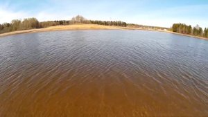 Cплит-шот. Ловля красноперки с использованием поводковой оснастки сплит-шот.