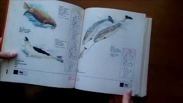 Красная книга Красноярского края