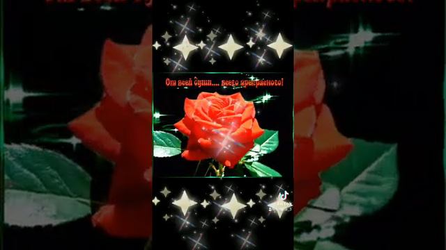 Добрый вечер,дорогие друзья🤗 смотреть онлайн