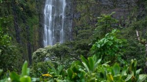 Звуки природы и лёгкий гонг для релакса.