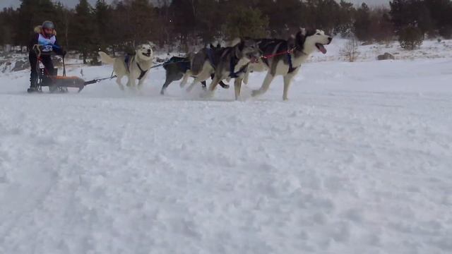 Лагонаки соревнования смотреть онлайн
