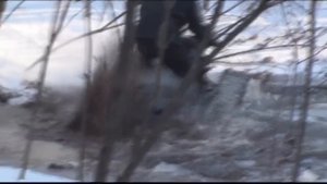 Самодельный Снегоход На Гусеничном Ходу
