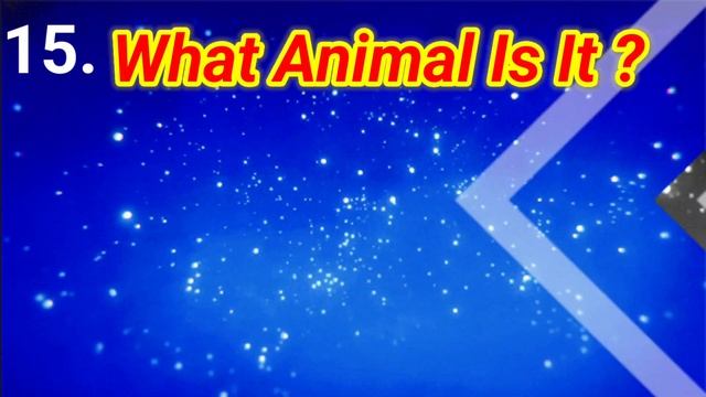 Guess The Animal By Its Scrambled Name | Guess The Animal By Emoji Challenge | Quiz Game | Quiz