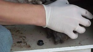 Устранение дребезга суппортов (тормозов). Skoda Fabia 1. Debounce calipers