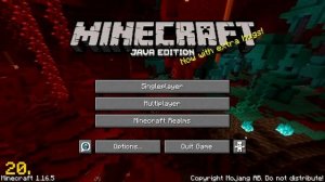 36 Rarest Things in Minecraft