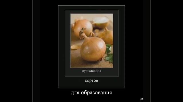 пельмени