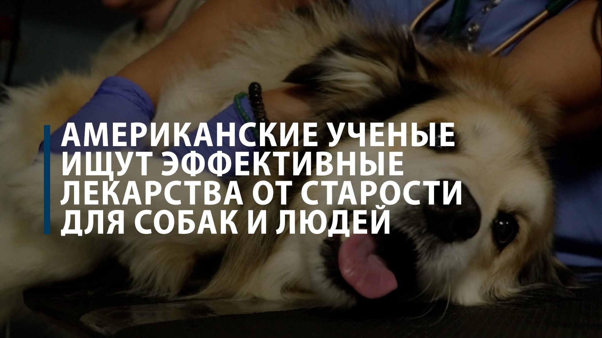 Американские ученые испытывают препарат, который может замедлить старение