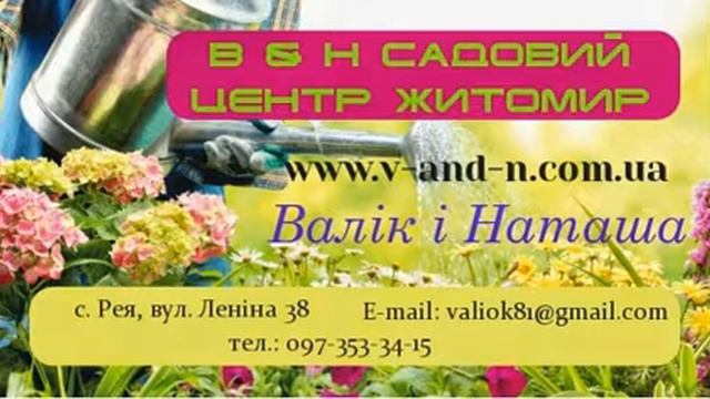 www.BrilLion-Club.com , В & Н Садовий центр, Житомир