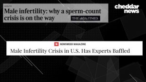 The Truth About "Rising" Male Infertility - Cheddar Explains