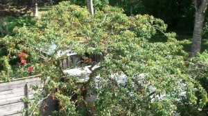 Samsung HMX-S15 Test