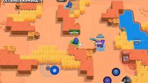 Жоский крысы в нулсе