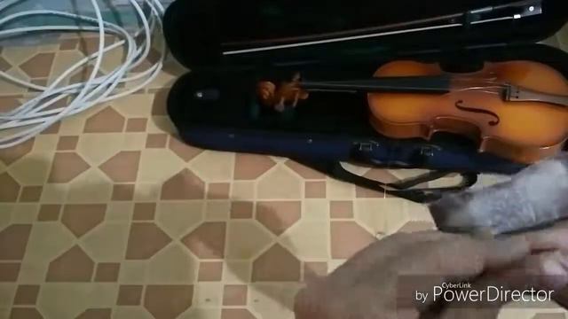 Ремонт скрипки  3. Каждая скрипка нуждается в дороботке.