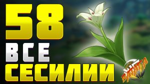 СЕСИЛИЯ 58шт Где найти цветы Сесилии Геншин импакт