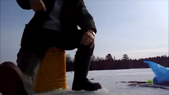 Озеро Красное...Архангельская область..Вблизи Пертоминска....лов окуня на мормышку.... смотреть онлайн