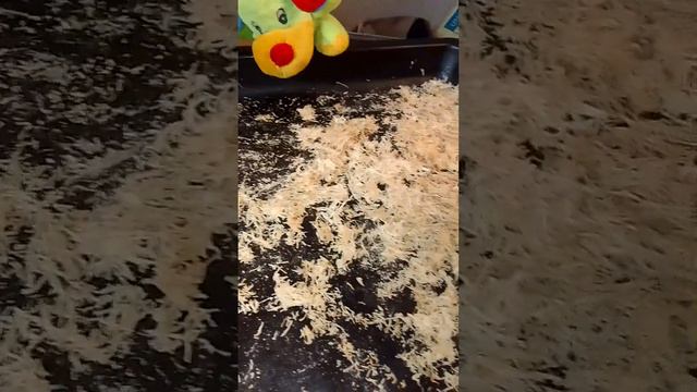 Чипсы сладкие из топинамбура, часть 2, Чипсы-снежинки, Рецепты, Топинамбур. смотреть онлайн