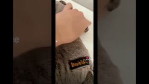 Сборка про басиков🐊🎀👻💥