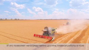 Неровное поле: как настроить жатку