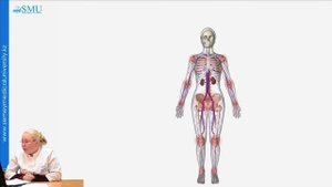 Системная красная волчанка