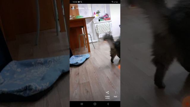 какой у меня аккаунт на Инстаграме