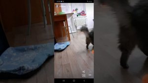 какой у меня аккаунт на Инстаграме