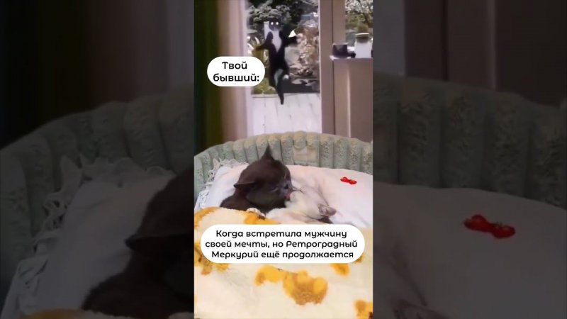 Слушай на всех музыкальных площадках #втренде