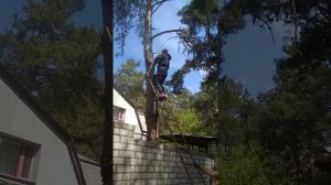 Обрезка веток аккумуляторной электропилой