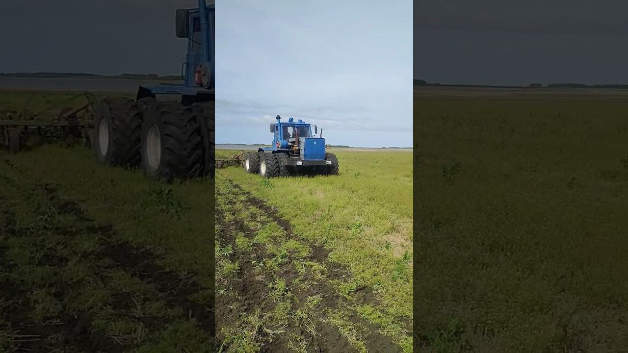 #т150 вышел на пары смотреть онлайн