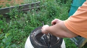 ЖАРИМ В ТАНДЫРЕ ЧЁРНУЮ КУРИЦУ УХЕЙИЛЮЙ...