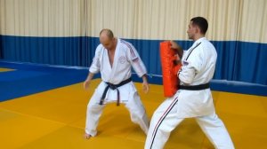 Реальный удар рукой в каратэ | Олег Эстон
