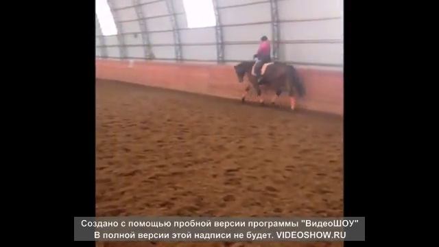 Консул шаг,рысь разминка смотреть онлайн