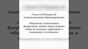 _Административная ответственность несовершеннолетних_ профилактическая беседа . (видеоролик)