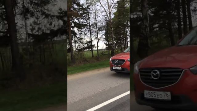 Обочечники