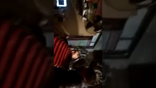 Тимур раджабов