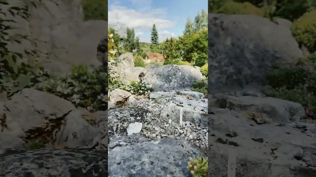 Чем настоящая альпийская горка отличается от всего остального