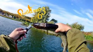 Ловля щуки на спиннинг, поймал щуку без ЧЕРЕПА