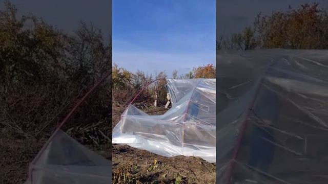 Помогаем кумовьям накрывать теплицу впервые такое делала она ужасно большая смотреть онлайн