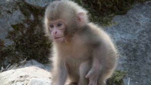 10 ИНТЕРЕСНЫХ ФАКТОВ О НАУКЕ