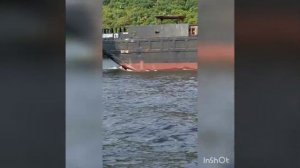 #кто быстрее-баржа или катамаран на солнечных панелях#