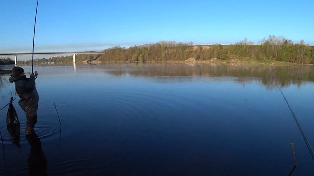 Рыбалка на реке Волхов | Поплавочная снасть | Чехонь смотреть онлайн