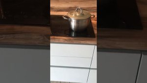 Что быстрее закипятит воду, чайник или индукция?