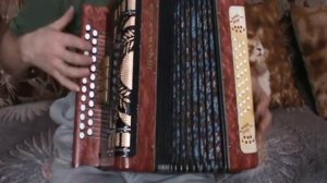 Плот с нотами в цифрах