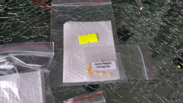 90 Большая стрижка 12.02.2023 смотреть онлайн