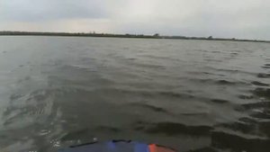 Новосибирск озеро Кривое