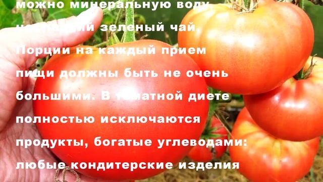 Домашнее похудение на помидорах, секреты томатной диеты