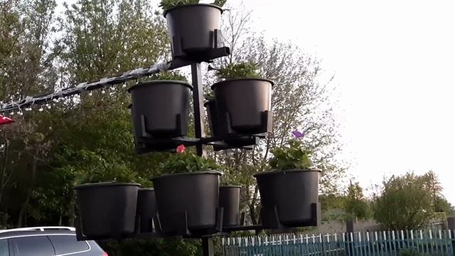 УРА! ПЕТУНИЕВОЕ ДЕРЕВО ГОТОВО. ПЕТУНИЯ СТОИТ НА СВОИХ МЕСТАХ.