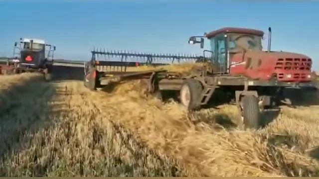 день сельхоз работника смотреть онлайн